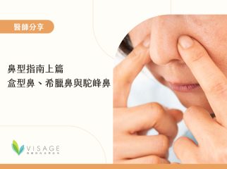 盒型鼻、希臘鼻與駝峰鼻1